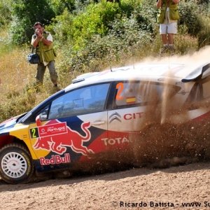 Rally del Portogallo 2010