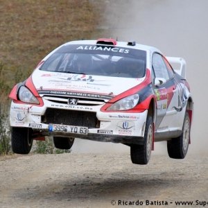 Rally del Portogallo 2010