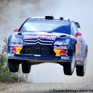 Rally del Portogallo 2010