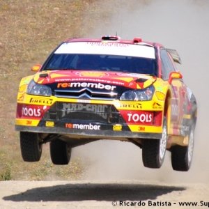 Rally del Portogallo 2010