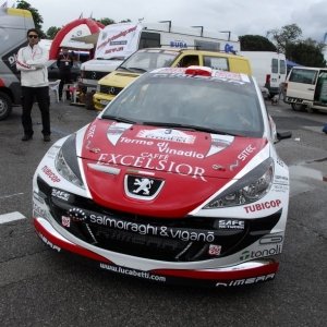 Rally di Croazia 2010