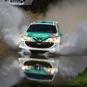 Rally d'Italia Sardegna 2010