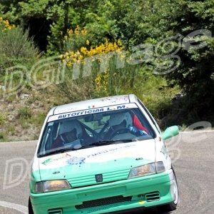 Rally del Casentino 2008