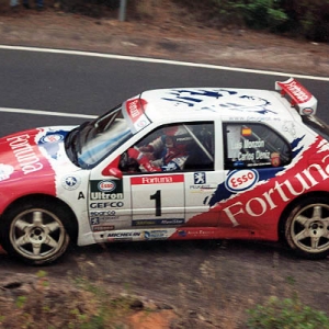 Peugeot 306 Maxi