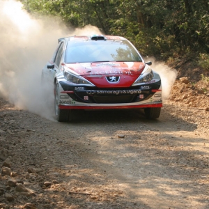 Rally del Bosforo 2010