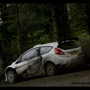 Ford Fiesta RS WRC