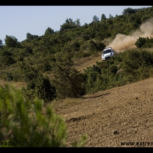 Ford Fiesta RS WRC