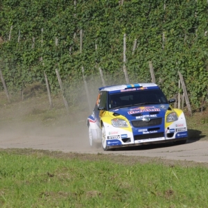 Rally di Germania 2010