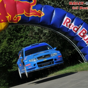 Rally di Germania 2010