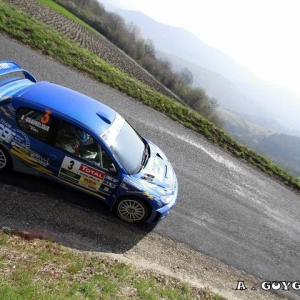 Rally di Germania 2010