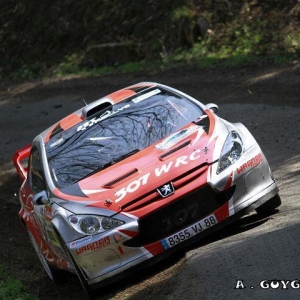 Rally di Germania 2010