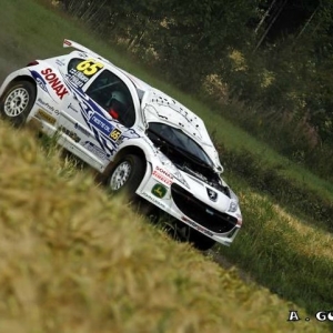 Rally di Germania 2010