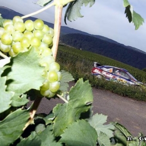 Rally di Germania 2010