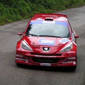 Rally Alpi Orientali 2010