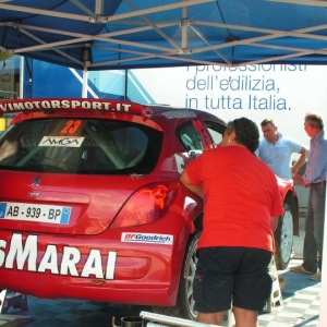 Rally Alpi Orientali 2010