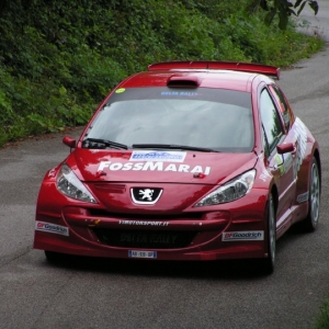 Rally Alpi Orientali 2010