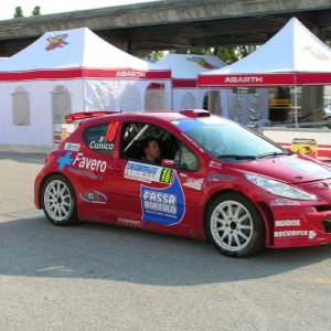 Rally Alpi Orientali 2010