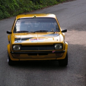 Rally Alpi Orientali 2010