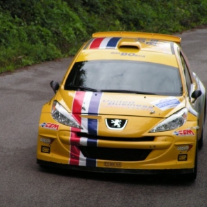 Rally Alpi Orientali 2010