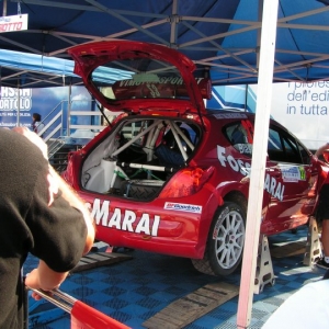 Rally Alpi Orientali 2010