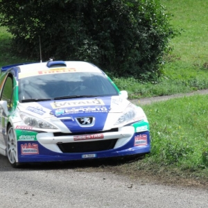 Rally Alpi Orientali 2010