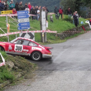 Rally Alpi Orientali 2010