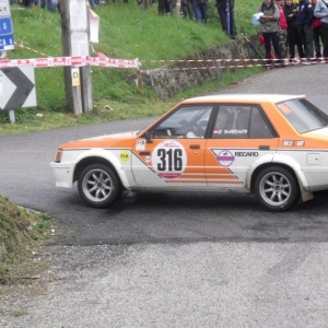 Rally Alpi Orientali 2010