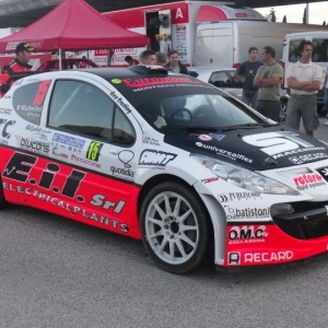 Rally Alpi Orientali 2010