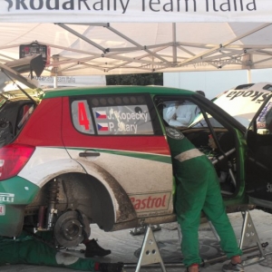 Rally Alpi Orientali 2010