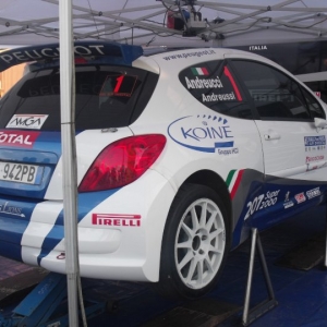 Rally Alpi Orientali 2010