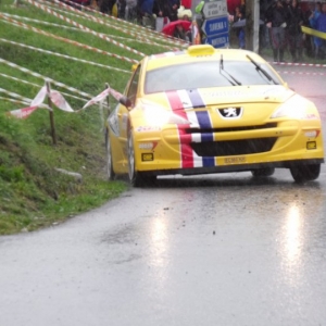 Rally Alpi Orientali 2010