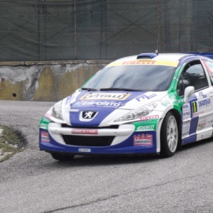 Rally Alpi Orientali 2010