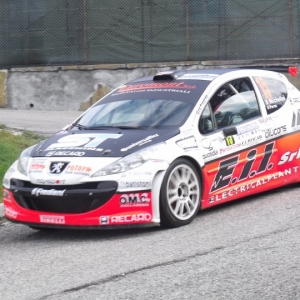 Rally Alpi Orientali 2010