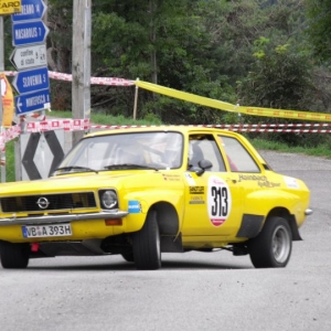 Rally Alpi Orientali 2010