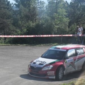 Rally Alpi Orientali 2010