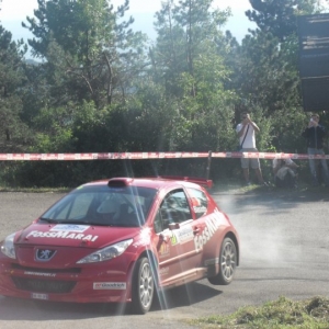 Rally Alpi Orientali 2010