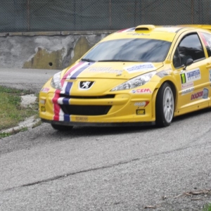 Rally Alpi Orientali 2010