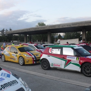 Rally Alpi Orientali 2010