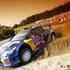 Rally di Germania 2010