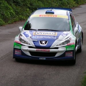 Rally Alpi Orientali 2010