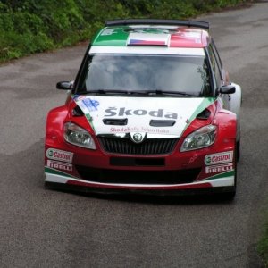 Rally Alpi Orientali 2010