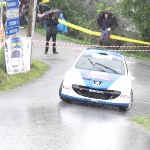 Rally Alpi Orientali 2010