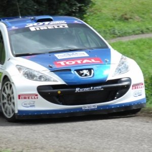 Rally Alpi Orientali 2010