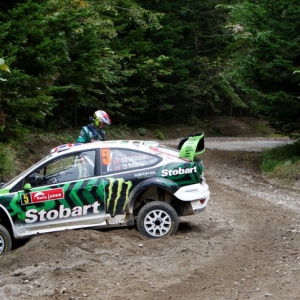 Rally del Giappone 2010