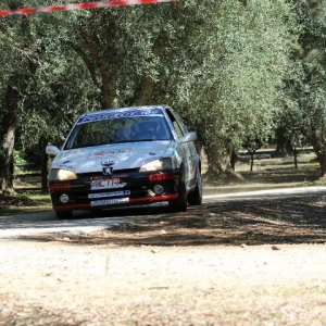 2? Rally dei 5 Comuni 2010