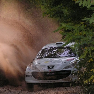 Azzano Rally 2010