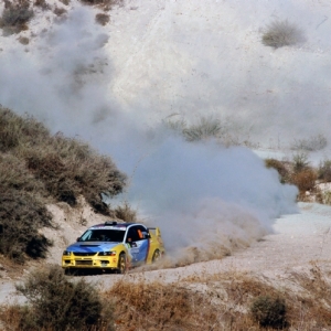 Rally di Cipro 2010