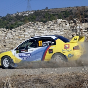 Rally di Cipro 2010