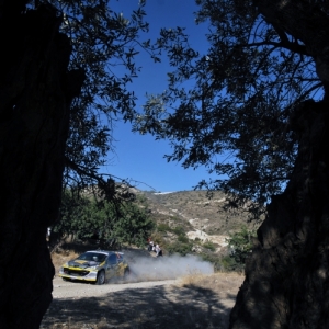 Rally di Cipro 2010