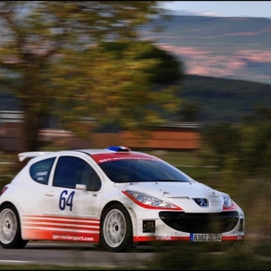 Rally du Var 2010